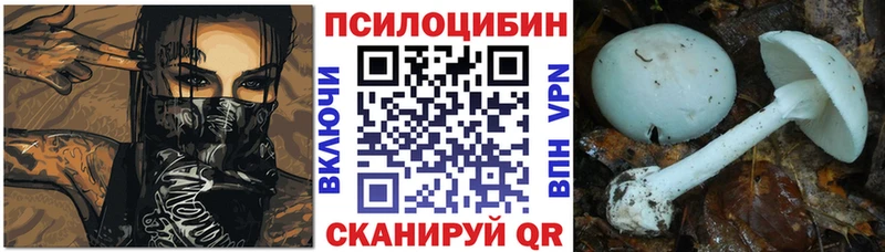 Галлюциногенные грибы Psilocybe  Городовиковск 