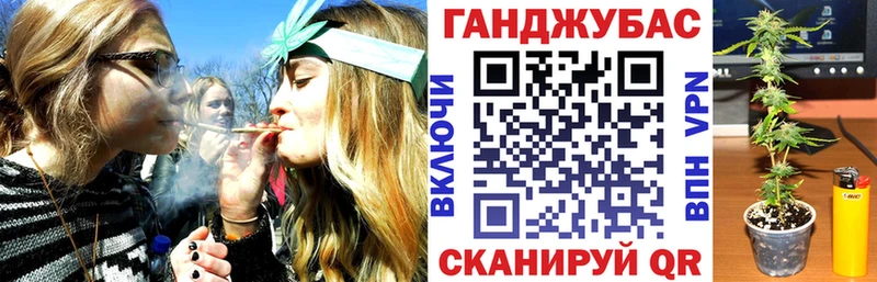 Конопля марихуана  Городовиковск 